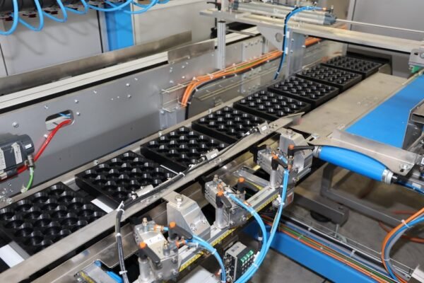 3 - Invassoiatrice ingresso vassoi