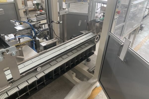 4 - Incartonatrice catena ingresso 4 - Incartonatrice catena ingresso