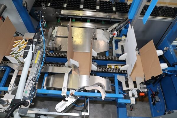 6 - Wrap modulo centrale